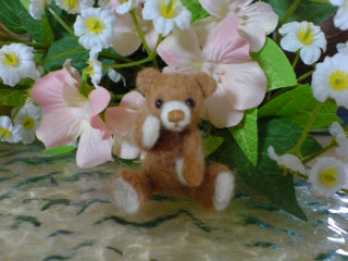hana-bear-2005-11-26T13_50_36-1.jpg